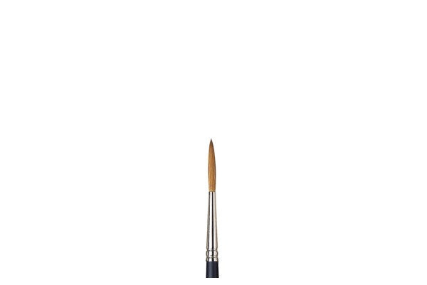 ARTISTS WATERCOLOUR BRUSH Sable Rigger 5